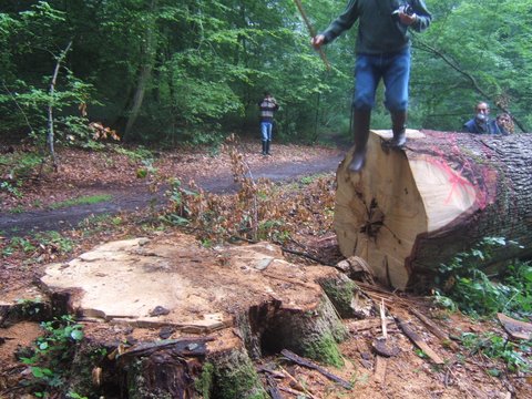 1Sylvabois Beaux Monts juin 2006 001