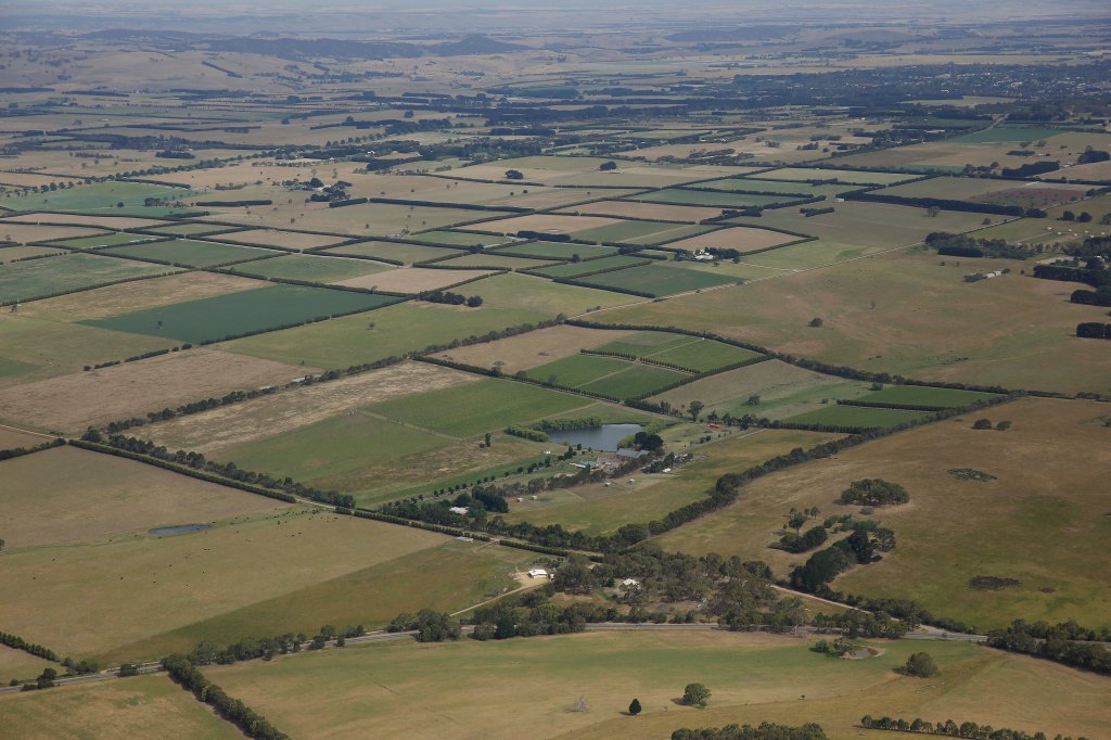 Curly Flat Vineyard from a distance.  This photograph was taken facing to the South-east looking upon the pastoral landscapes, of Lancefield, Romsey and onward.